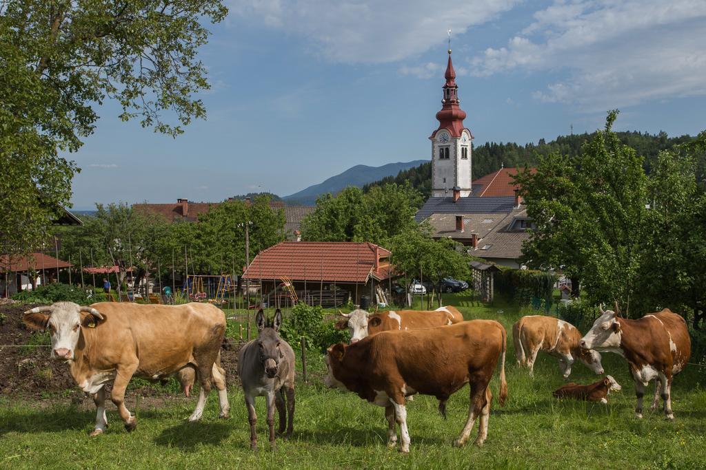 فيلا بليدفي Bio Turisticna Kmetija Frcej-Zupan المظهر الخارجي الصورة